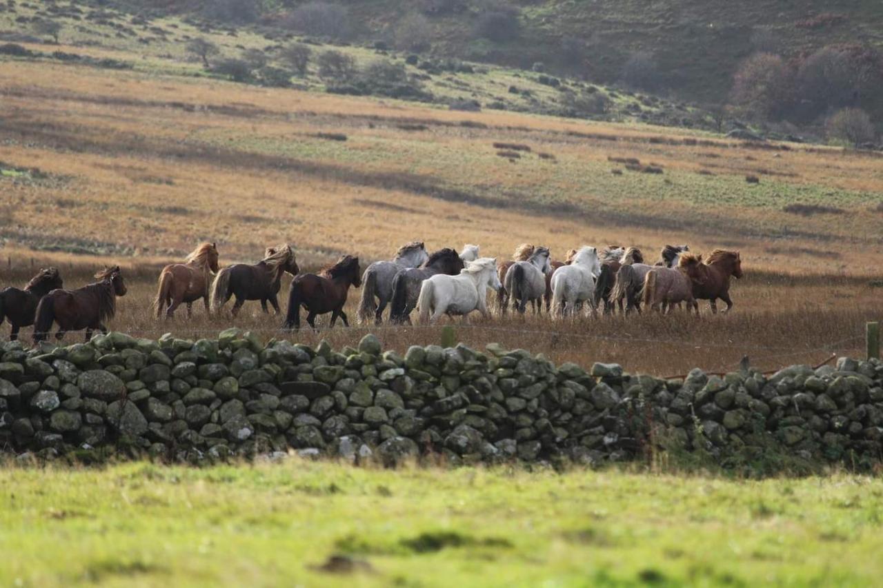 Bed and Breakfast Woodbriar Penmaen-mawr Esterno foto